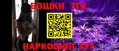 соль ск Будённовск
