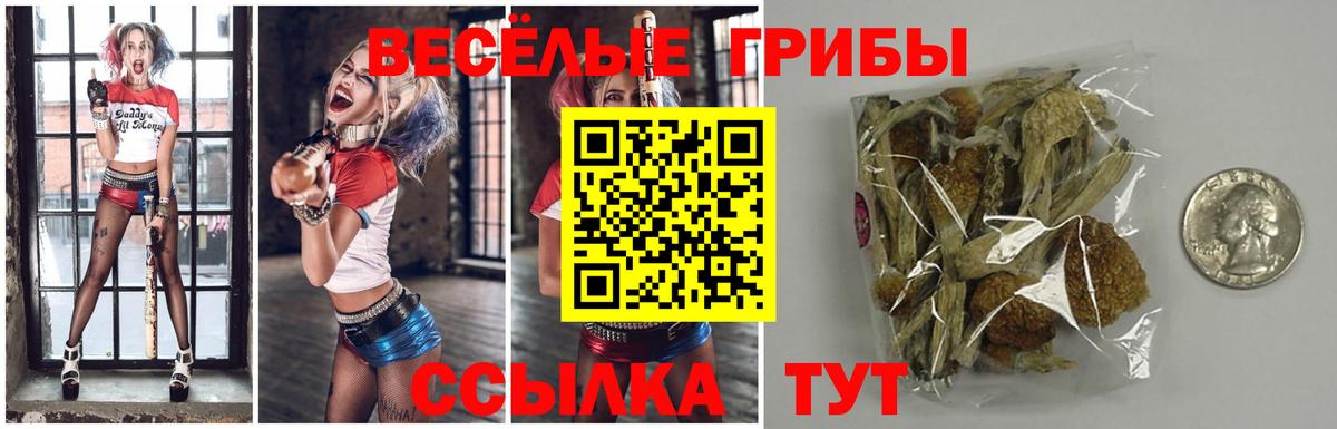 Галлюциногенные грибы MAGIC MUSHROOMS Тверь